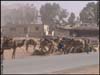 Верблюды в Вади-Рамм